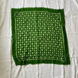 Gorgeous Green Paisley Wool Scarf Moismont
